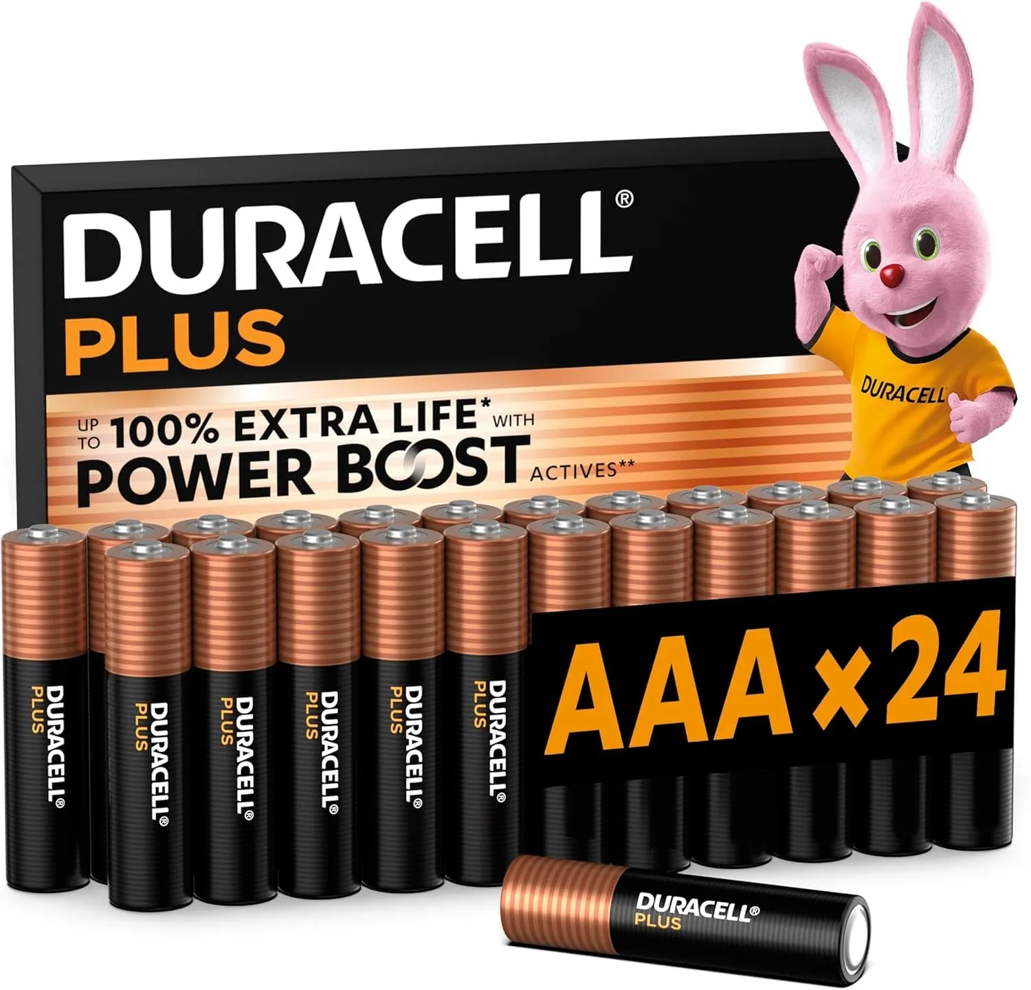 Pilas Alcalinas Duracell Plus AAA (Paquete 24 Unidades)