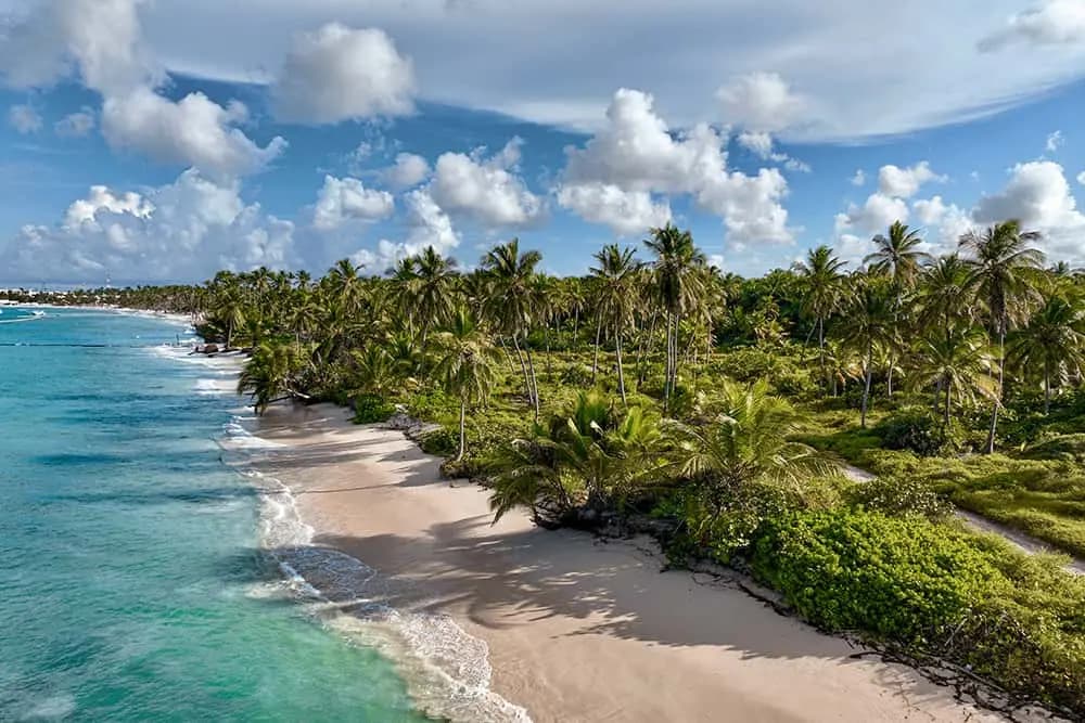 Punta Cana 8 dias 5* TI Vuelos desde 898€