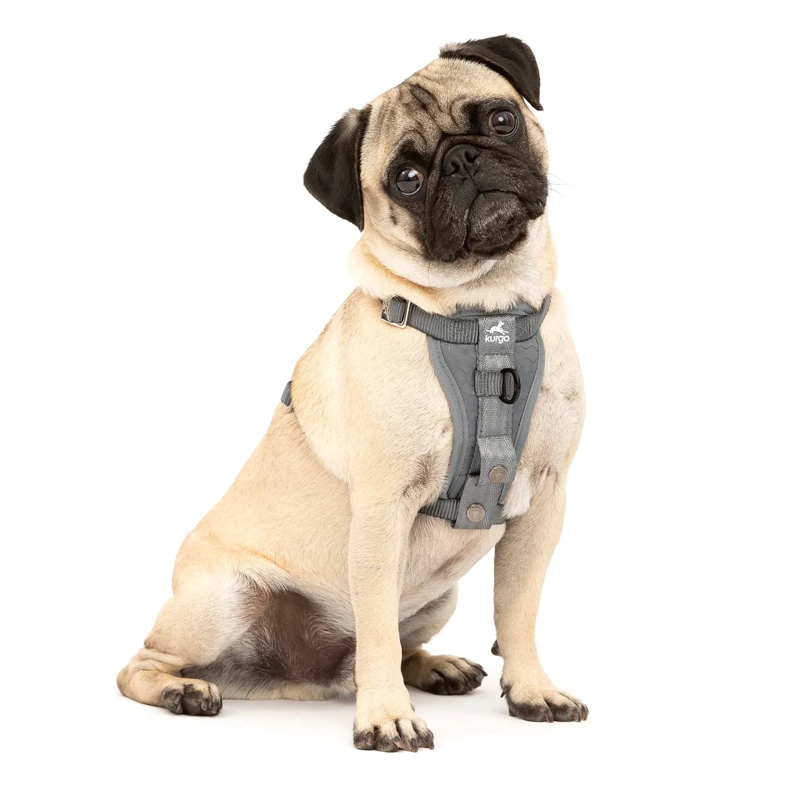 Arnés para perros Kurgo Tru Fit S Antracita