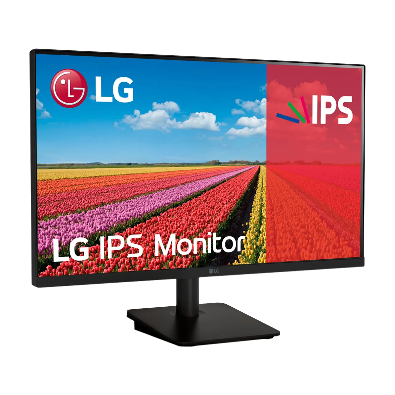 Monitor LG 25MS500-B 24,5” FHD 100Hz IPS