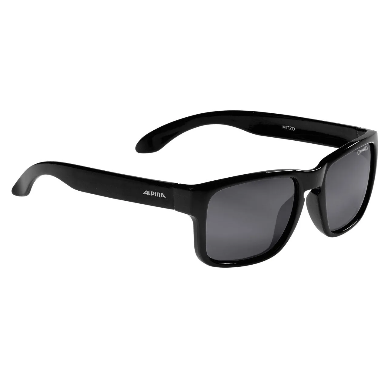 Gafas Alpina Mitzo para Deportes al Aire Libre, Negro